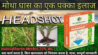 Headshot herbicide  Halosulfuron Methyl 75 WG  मोथा खरपतवार को नियंत्रण केसे करे [upl. by Eelatsyrc]