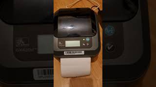 Zebra GX420dD Thermal Printer Red Light Flashing Issue  Not Printing Need Help [upl. by Eycats672]