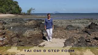 8 step form from Wudang China [upl. by Faust]