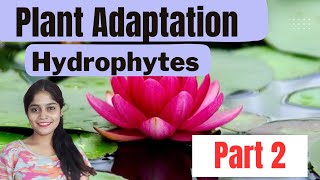 HYDROPHYTES PLANT ADAPTATION  ECOLOGICAL ADAPTATIONS biology csirnet neet [upl. by Katerina562]