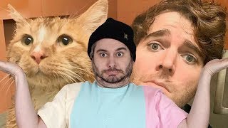 Shane Dawson Did WHAT With His Cat [upl. by Gratia]