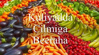 Kuliyadda Cilmiga Beeraha  Agriculture [upl. by Brande]