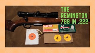 The Remington 788 in 222 [upl. by Ramah192]