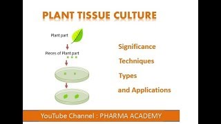 Plant Tissue Culture [upl. by Reel160]