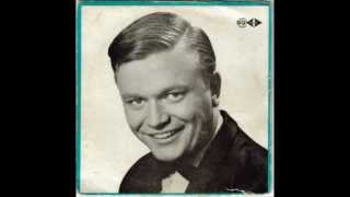 Bert Newton  Deck Of Cards [upl. by Krenek486]