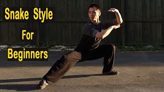 Shaolin Kung Fu Wushu Snake Style Basic Training For Beginners [upl. by Teemus]