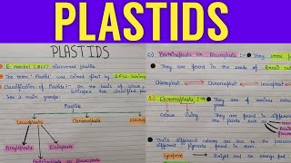 Structure and functions of plastids  plastids and its types  plastid  plastid structure [upl. by Ettenrahs]