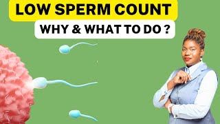 13 Ways To Boost Low Sperm Count Naturally  Oligospermia Treatment [upl. by Ecinert966]