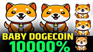 Baby Doge Coin Price Prediction 2025  Best Meme Coin to buy Now   Baby Doge [upl. by Uhn989]