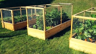 Enclosed Raised Garden Beds  DIY Gardening Project [upl. by Xela725]