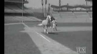 Mister Ed and the Dodgers [upl. by Inol]