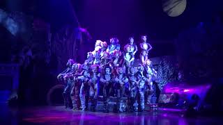 cats the musical  rccl cast 14 [upl. by Osmo243]