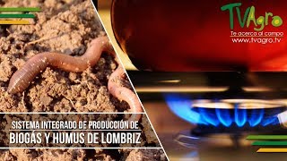 Sistema Integrado de Producción de Biogás y Humus de Lombriz  TvAgro por Juan Gonzalo Angel [upl. by Oiram]