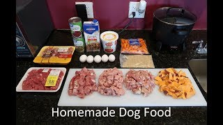 PhD Nutritionist Reacts to HomeCooked Dog Food [upl. by Frannie]