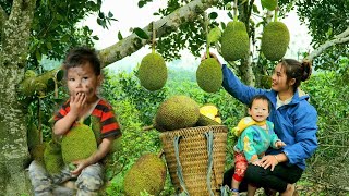 Full video single mother  building a farm Harvesting fruits cabbage tomatoes papaya to sell [upl. by Cardwell153]