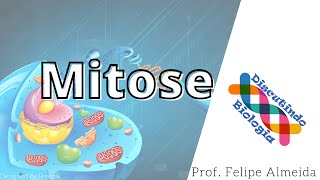 Aula de Mitose Prófase metáfase anáfase e telófase [upl. by Nav]