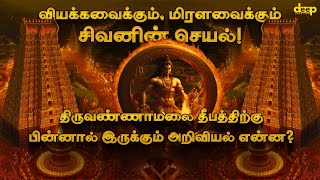 Tiruvannamalai Karthigai Deepam History  Lord Shiva Tamil History  தீபம் வரலாறு [upl. by Felecia]