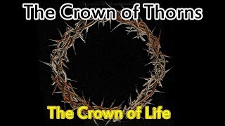 The Crown of Thorns  Interesting Facts [upl. by Hamer]