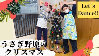 【1歳から踊れる！】うさぎ野原のクリスマス♪踊ってみた アロハ保育園 保育園 ダンス 保育士 [upl. by Ydieh]