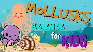 What is a Mollusk Invertebrates animals  Science for Kids [upl. by Ping965]