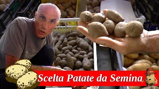 Come scegliere le Patate da Semina [upl. by Eibbob]