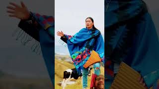 El condor Pasa music musica native indigenous panflute voice instrumental remix [upl. by Edahs]