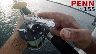 The PENN BEACHMASTER No 155 Conventional Fishing Reel  PORGY TIME  Bridge Fishing for Porgies [upl. by Saxe149]