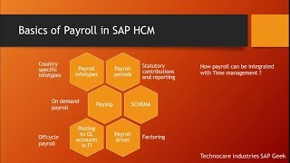 Introduction to payroll [upl. by Sherrer]