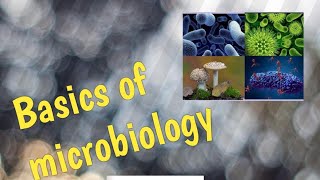 Basics of microbiology part 2 sterilisation [upl. by Mitinger]