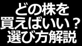 株初心者のための銘柄選び方解説【株式投資の基礎】 [upl. by Ahdar]