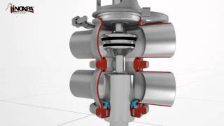 INOXPA PTYPE DOUBLE SEAT VALVE – SEAT LIFT [upl. by Birk]