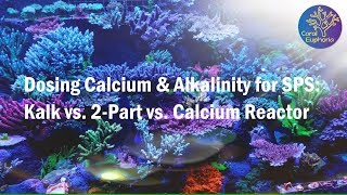 Dosing Calcium amp Alkalinity for SPS in Your Reef Tank Getting Started [upl. by Einnaoj349]