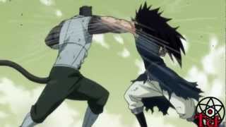 Fairy Tail AMV GazilleGajeel vs PantherLily ✯✯ Reupload [upl. by Malvina]