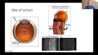 VEGF and antiVEGF in Eye Disease [upl. by Adlitam636]