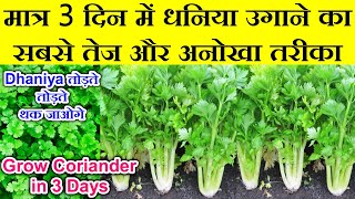 सिर्फ 3 दिन मे धनिया उगाने का बिल्कुल नया तरीका3 din me dhaniya kaise ugayeGrow Coriander in 3 day [upl. by Ecneret]