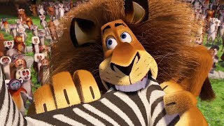 Dreamworks Madagascar  Alex Goes Crazy Scene  Movie Clip  Madagascar  Kids Movies [upl. by Weintrob199]