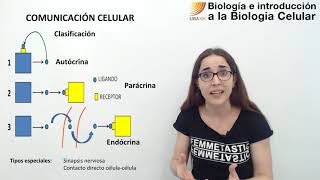 49 Biología celular Señalización celular [upl. by Elfstan]