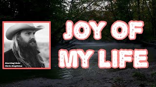 Chris Stapleton  Joy of My Life Lyrics [upl. by Teodoor]