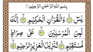 Surah Yaseen Full yasin surah yasin  tilawat yasin shareef SURA YASEEN [upl. by Yedoc]