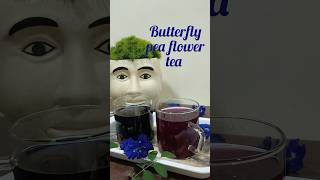 Butterfly pea flower teaBlue TeaWeightLossTea ImmunityBooster HerbalTea shorts ytshorts [upl. by Eitsim107]