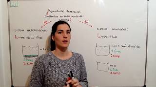 QUIMICA CBC 5 Sitemas Homogéneos y Heterogéneos Exapuni [upl. by Elyac]