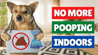 How to STOP Your Dog from Pooping Inside with These EASY TRICKS 🚫💩 [upl. by Binah]