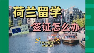 荷兰留学签证怎么办？mvv签证办理详解【荷导干货｜分享】 [upl. by Lartnom]