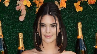 7 SHOCKING Facts About Kendall Jenner [upl. by Dalohcin]