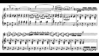 Schubert  Arpeggione Sonata 1st Mov piano accompaniment [upl. by Kristan790]