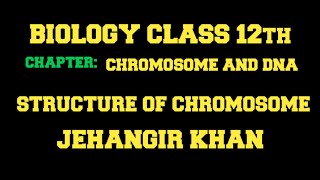 Structure of chromosome class 12  chromosome and DNA 12 [upl. by Asilam198]