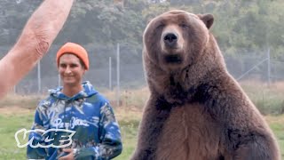 FacetoFace with an 800lb Grizzly Bear  Better Man [upl. by Kelli]