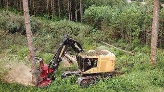 Chilton Logging Tigercat 870D Feller Buncher and Cat 558 Processor [upl. by Eltsirc]