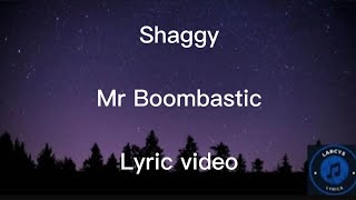 Shaggy  Mr Boombastic Lyric video [upl. by Drhcir]