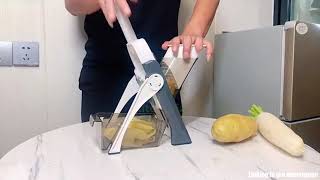 5 in 1 Vegetable Cutter Review 2021 Does It Work？ [upl. by Ainod]